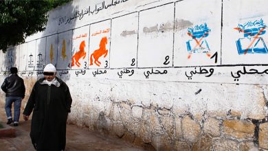 سليمة فراجي: أعطاب الأحزاب缩略图