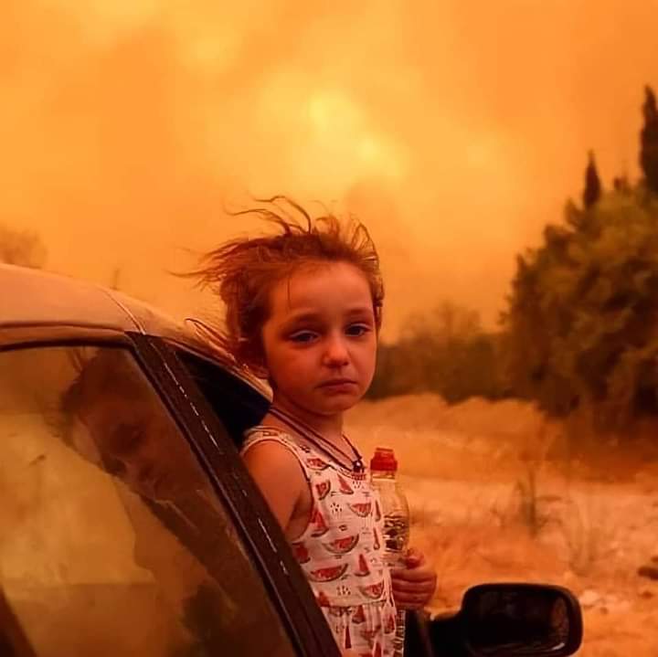 الجزائر تحترق – يرجى عدم تصفح الصور للأقل من 18 سنة-插图2