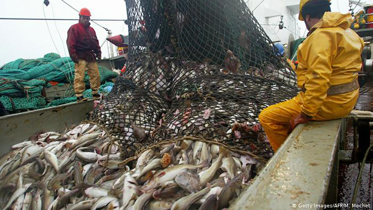 إسبانيا ترغب في “استمرار” اتفاقية الصيد البحري مع المغرب缩略图