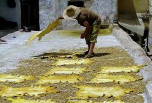 اكتشاف في المغرب يوضح متى بدأ الإنسان في ارتداء الملابس缩略图