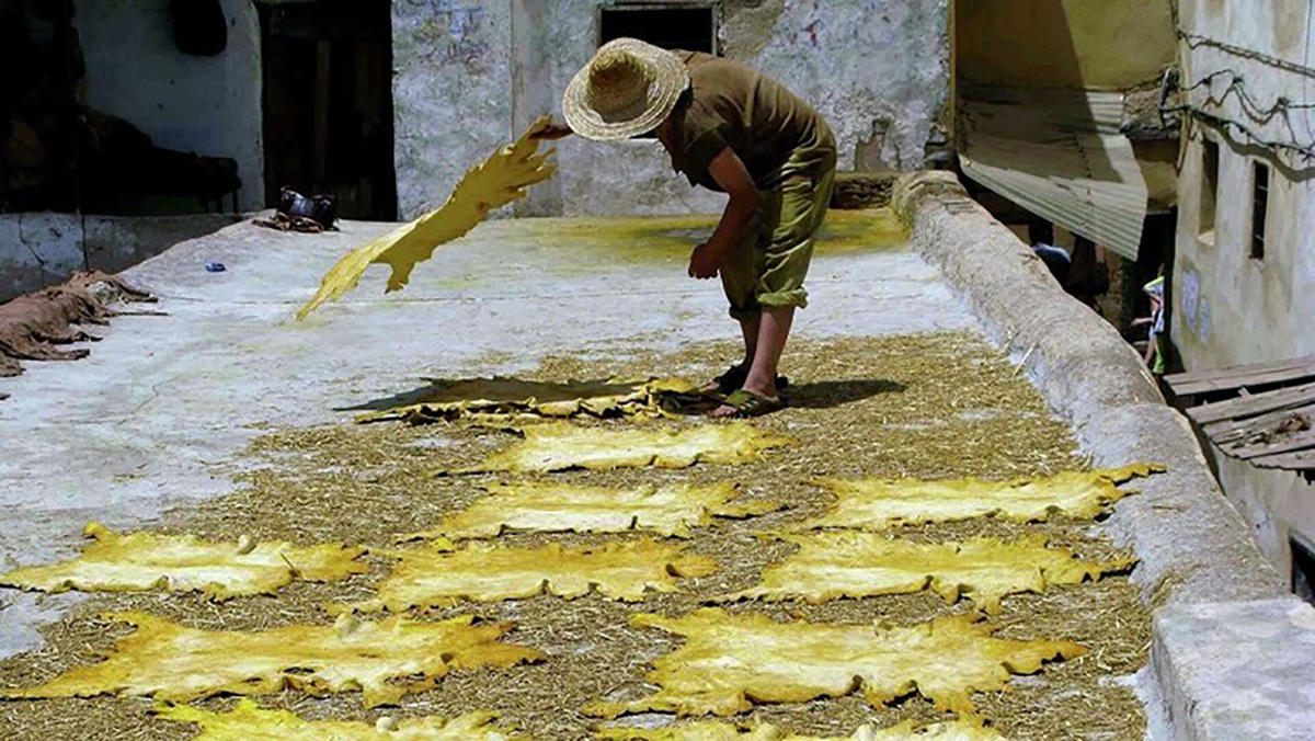 اكتشاف في المغرب يوضح متى بدأ الإنسان في ارتداء الملابس缩略图