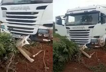 مقتل سائقين مغربيين برصاص عناصر مجهولة في مالي缩略图