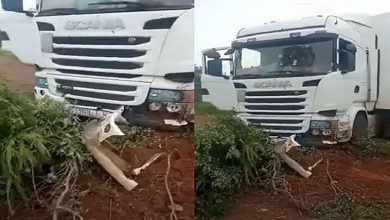 مقتل سائقين مغربيين برصاص عناصر مجهولة في مالي缩略图