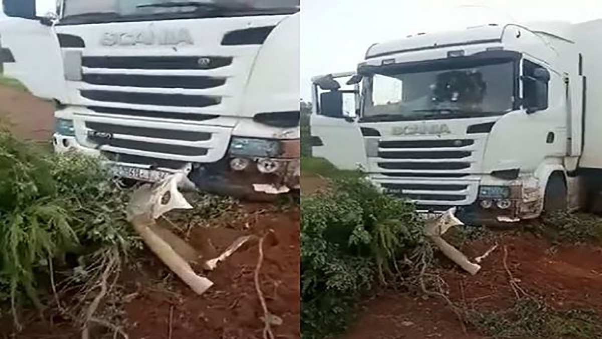 مقتل سائقين مغربيين برصاص عناصر مجهولة في مالي缩略图