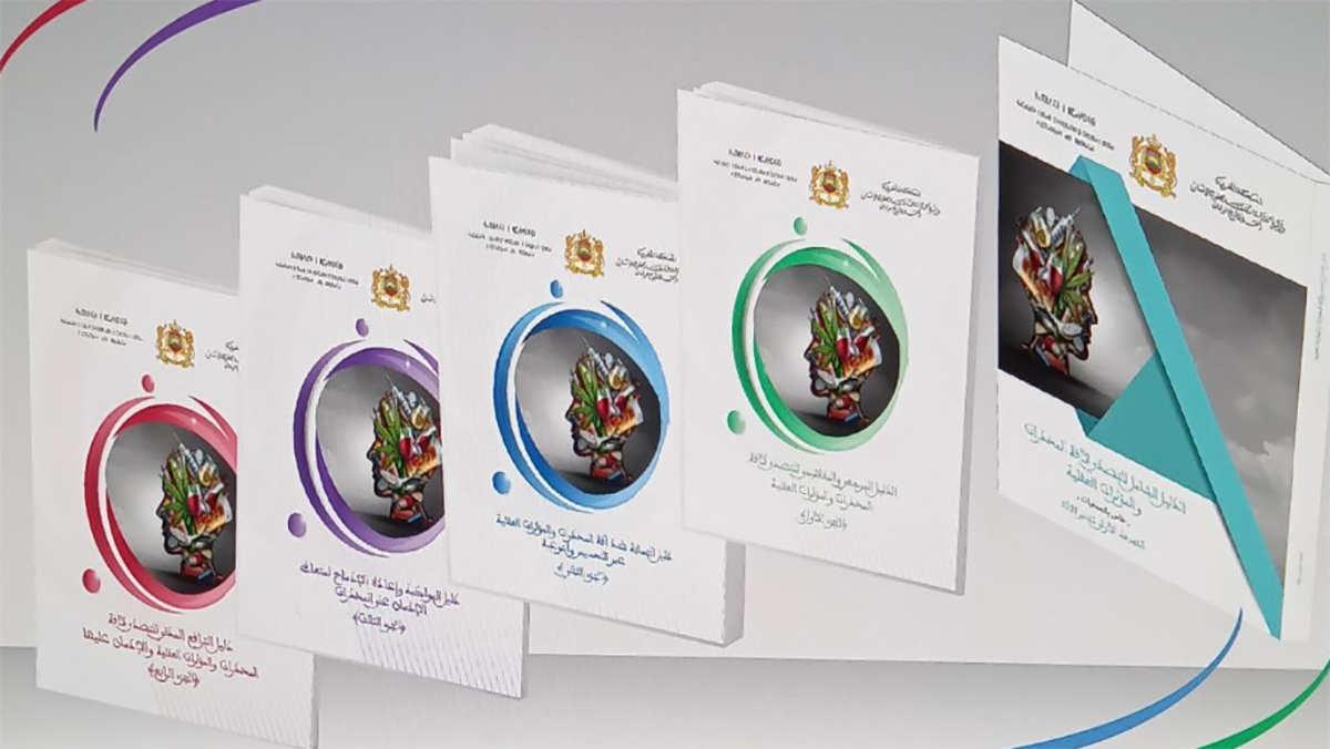 وزارة الدولة المكلفة بحقوق الانسان والعلاقات مع البرلمان تصدر الدليل الشامل للتصدي لآفة المخدرات والمؤثرات العقلية缩略图