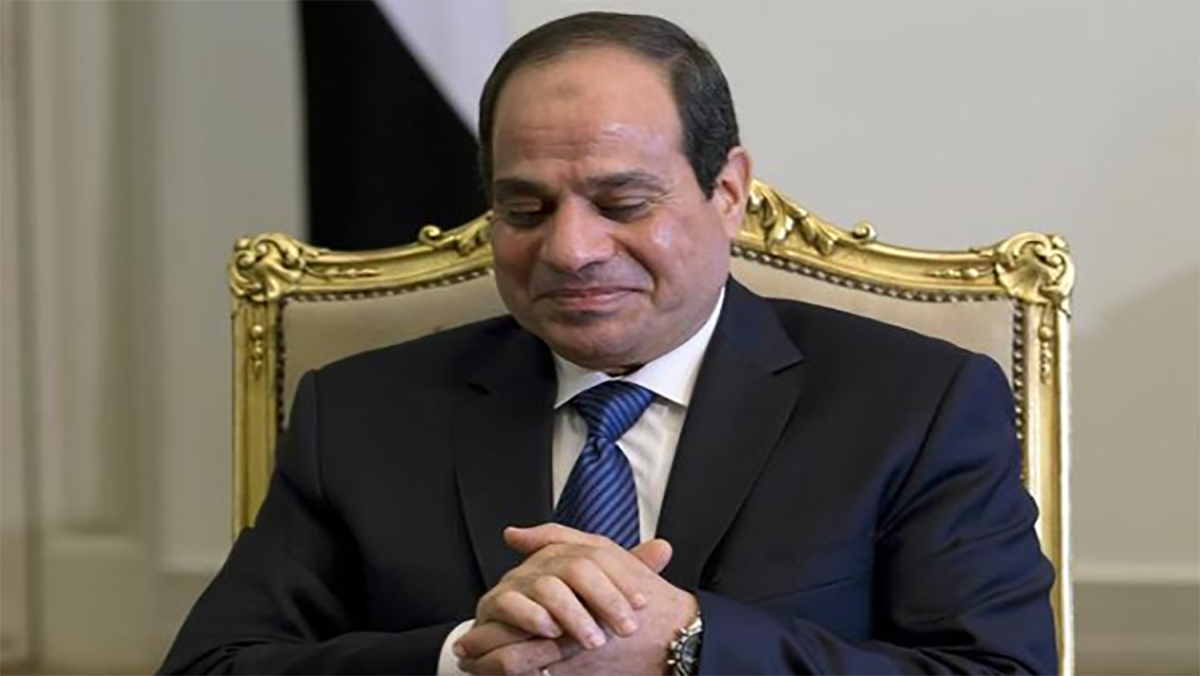 السيسي يصدر قرارا خصخصة قطاع الصحة缩略图