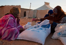 غوتيريس يفضح سرقة المساعدات الإنسانية من طرف البوليساريو والجزائر缩略图