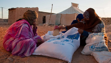 غوتيريس يفضح سرقة المساعدات الإنسانية من طرف البوليساريو والجزائر缩略图