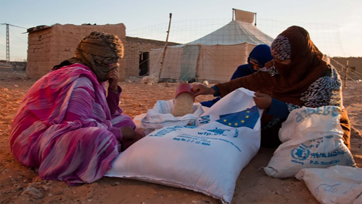 غوتيريس يفضح سرقة المساعدات الإنسانية من طرف البوليساريو والجزائر缩略图