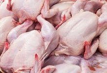 هل يقاطع المغاربة الدجاج بعد ارتفاع الأسعار..؟缩略图