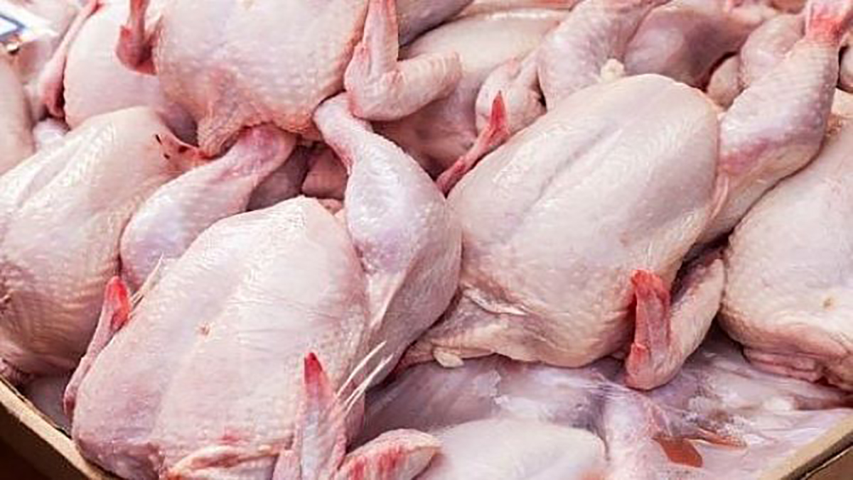 هل يقاطع المغاربة الدجاج بعد ارتفاع الأسعار..؟缩略图