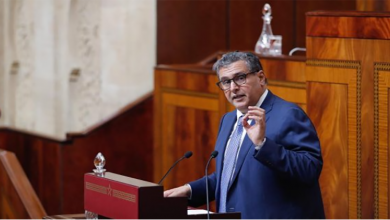 أخنوش: الحكومة سارعت إلى اعتماد تدابير للحفاظ على استقرار الأسعار缩略图