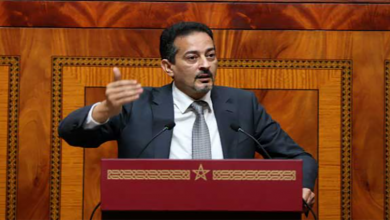 المهاجري: الأقسام المشتركة لا تصلح حتى لتربية الأرانب缩略图