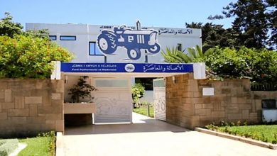 “البام” يجمد عضوية ثلاثة منتخبين بطنجة لعدم انضباطهم لقرارات الحزب缩略图 “البام” يجمد عضوية ثلاثة منتخبين بطنجة لعدم انضباطهم لقرارات الحزب缩略图