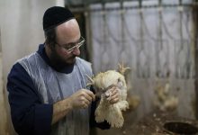 تقنين تحضير “الكوشر” والضريبة على السياحة تحرج الطائفة اليهودية بالدارالبيضاء缩略图