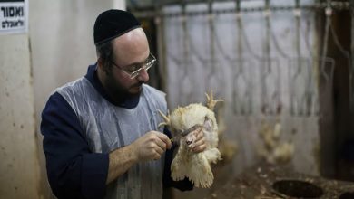 تقنين تحضير “الكوشر” والضريبة على السياحة تحرج الطائفة اليهودية بالدارالبيضاء缩略图 تقنين تحضير “الكوشر” والضريبة على السياحة تحرج الطائفة اليهودية بالدارالبيضاء缩略图