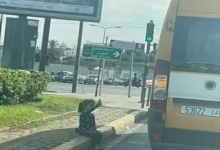 نقابي يتكفل بالمصاريف الدراسية للطفلة التي تلوح لحافلة النقل المدرسي缩略图