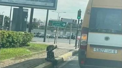 نقابي يتكفل بالمصاريف الدراسية للطفلة التي تلوح لحافلة النقل المدرسي缩略图