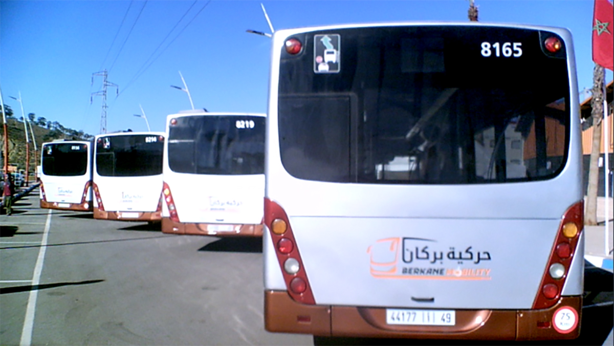اسطول جديد للحافلات لتعزيز حركة النقل العمومي بشوارع بركان والقرى المجاورة لها + تقرير مصور缩略图