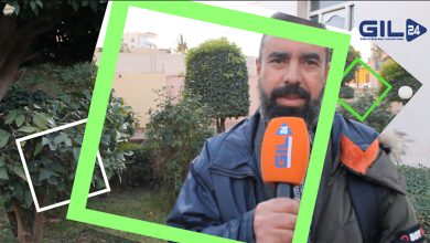 وقائع الندوة دراسية : تلقيات القصة القصيرة المغربية من منظور الناشئة الأدبية缩略图 وقائع الندوة دراسية : تلقيات القصة القصيرة المغربية من منظور الناشئة الأدبية缩略图