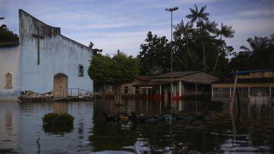 علماء: ما نحن فيه الآن هدوء ما قبل العاصفة缩略图