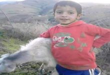 وصايا “ريان” العظيمة缩略图