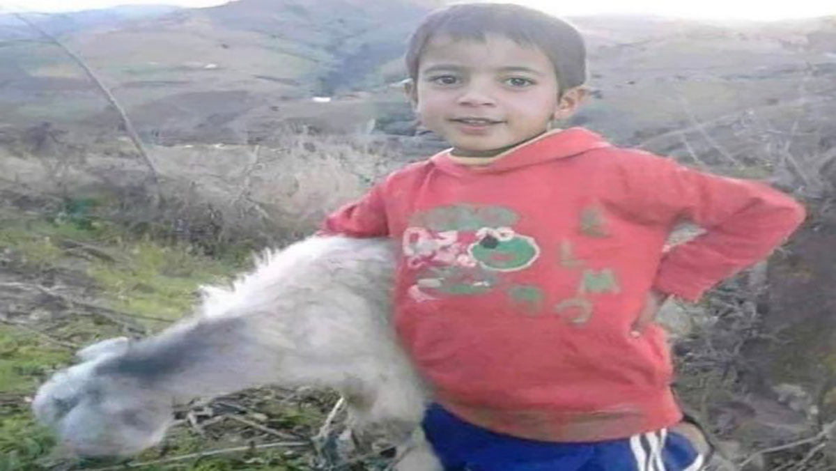 وصايا “ريان” العظيمة缩略图