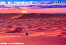 دعم نقابي دولي لمغربية الصحراء缩略图