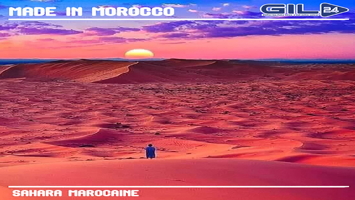 دعم نقابي دولي لمغربية الصحراء缩略图