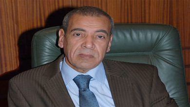 بنيونس المرزوقي: أحلام دستورية لروح رايان.. تحت شعار عدالة اجتماعية ومجالية缩略图