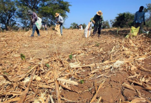 المعارضة تستدعي أربعة وزراء لمناقشة تداعيات الجفاف缩略图