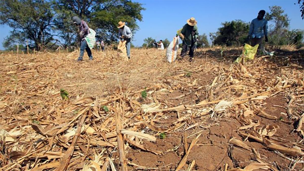 المعارضة تستدعي أربعة وزراء لمناقشة تداعيات الجفاف缩略图