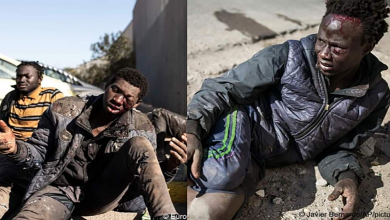 السلطات الإسبانية تُعنف مهاجرين أفارقة اقتحموا السياج الحدودي بمليلية المحتلة缩略图