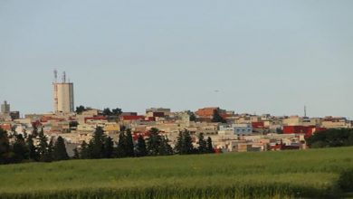 تاهلة تحتضن أشغال ندوة رياضية هامة بدار الشباب حول النموذج التنموي缩略图