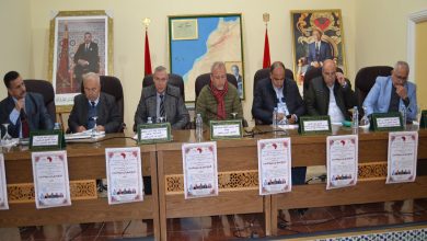 جامعة محمد الأول وجدة تحتضن دورة تكوينية حول “الترافع المدني عن مغربية الصحراء”缩略图