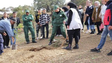 حملة تحسيس وتشجير بالغابة المقابلة لواد شراعة缩略图 حملة تحسيس وتشجير بالغابة المقابلة لواد شراعة缩略图