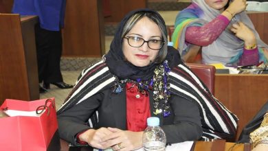 على طريقة هنو أوماروش حياة أومنجوج من المغرب العميق إلى قبة البرلمان缩略图