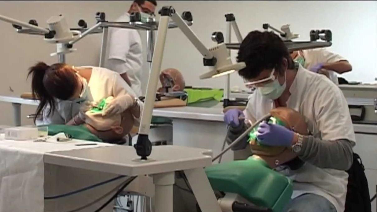 اللجنة الوطنية لطلبة الطب والصيدلة وطب الأسنان: جودة التكوين خط أحمر缩略图