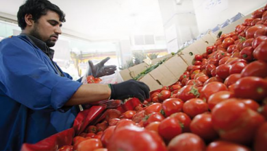 مهني يكشف سبب ارتفاع أسعار الطماطم缩略图