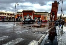 في حق وجدة…في حق فاتنة قاتلة缩略图