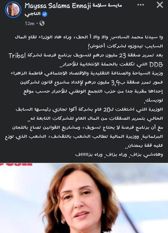 وابل انتقادات لوزيرة السياحة عقب صرفها 400 مليون لفائدة شركتين بغية صياغة مشروع قانون插图2