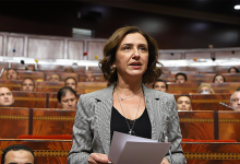 وابل انتقادات لوزيرة السياحة عقب صرفها 400 مليون لفائدة شركتين بغية صياغة مشروع قانون缩略图