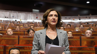 وابل انتقادات لوزيرة السياحة عقب صرفها 400 مليون لفائدة شركتين بغية صياغة مشروع قانون缩略图 وابل انتقادات لوزيرة السياحة عقب صرفها 400 مليون لفائدة شركتين بغية صياغة مشروع قانون缩略图