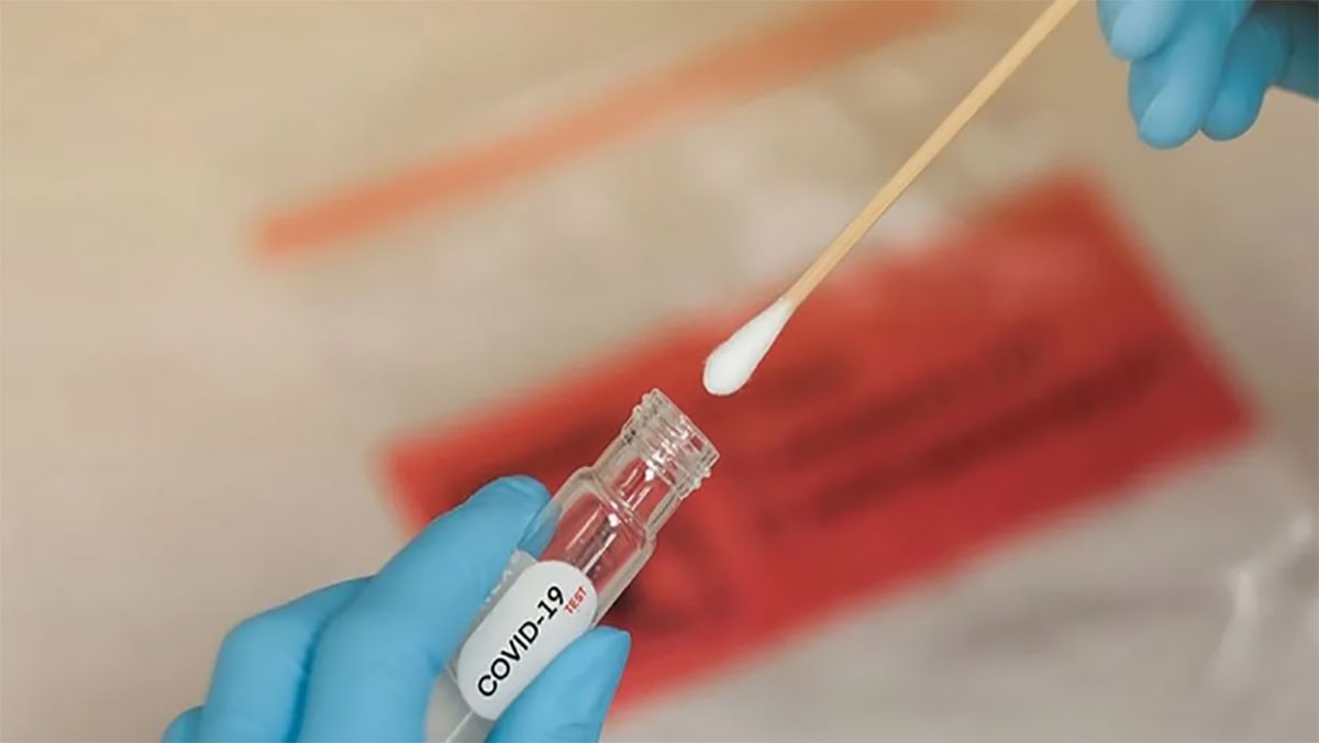 إلغاء شرط فحص التفاعل البوليمي المتسلسل لكورونا PCR من أجل الدخول إلى الأراضي المغربية缩略图