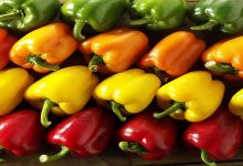 ارتفاع الصادرات على حساب القدرة الشرائية للمواطن…المغرب يصدر 1.5 مليون طن من الخضر والفواكه缩略图 ارتفاع الصادرات على حساب القدرة الشرائية للمواطن…المغرب يصدر 1.5 مليون طن من الخضر والفواكه缩略图