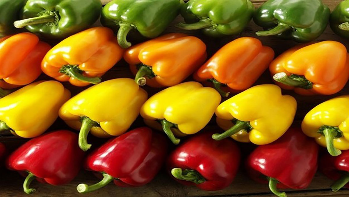 ارتفاع الصادرات على حساب القدرة الشرائية للمواطن…المغرب يصدر 1.5 مليون طن من الخضر والفواكه缩略图