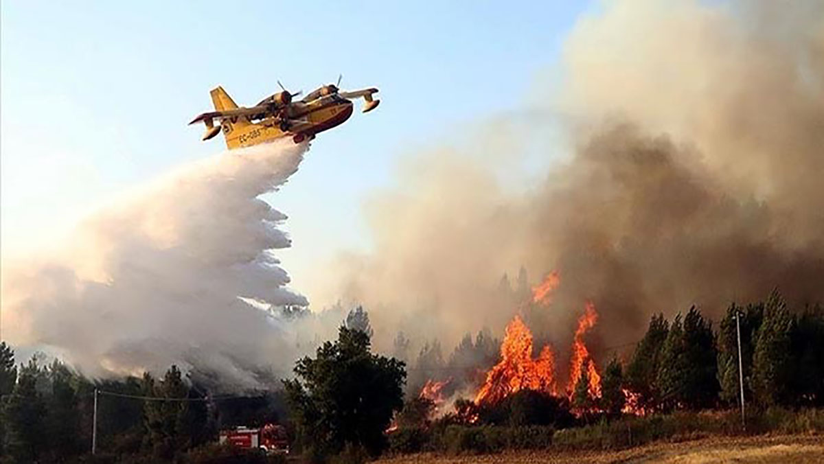 الــجـزائــر :  “روُسْ إيــرْ الـشَّـنـقـَـريـحـيّـة ” تُـزيـــحُ” كَـنَــديــرْ الـتـَّـبّــونــيَّـــة “缩略图