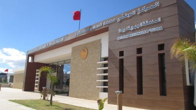 النموذج التنموي الجديد في خدمة إدماج الأشخاص في وضعية إعاقة缩略图