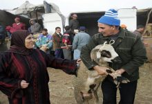 شبح ارتفاع أسعار الأضاحي يؤرق بال المواطنين缩略图 شبح ارتفاع أسعار الأضاحي يؤرق بال المواطنين缩略图