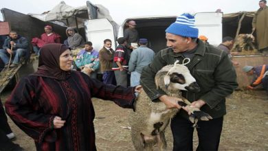 شبح ارتفاع أسعار الأضاحي يؤرق بال المواطنين缩略图 شبح ارتفاع أسعار الأضاحي يؤرق بال المواطنين缩略图